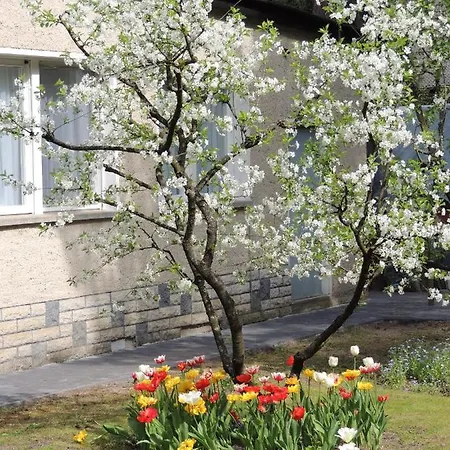 Ferienhaus Waldoase 코니그스부슈터하우젠