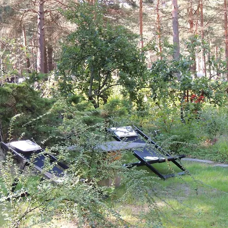 Ferienhaus Waldoase 펜션 코니그스부슈터하우젠